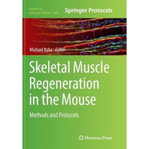 (영문도서) Skeletal Muscle Regeneration in the Mouse: Methods and Protocols Paperback, Springer, English, 9781493981458