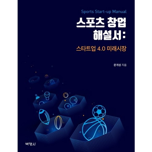 스포츠 창업 해설서: 스타트업 4.0 미래시장, 박영사, 문개성