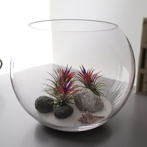 수중 세계의 아름다움을 엽니라: 잎새리빙 볼30 어항