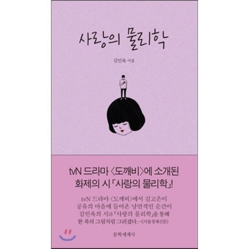 사랑의 물리학, 문학세계사, 김인육 저