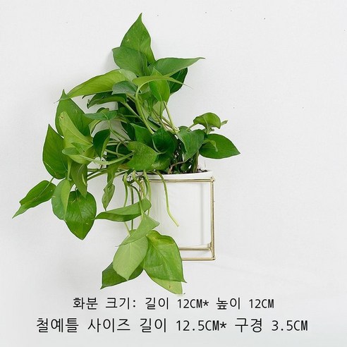 창의적 대리석 무늬 도자기 벽걸이 화분 탁자 베란다 심플하다 파인애플 다육식물 말뚝 분재 화기, 금가백자