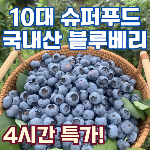 신선직송 국내산 한정판 생 블루베리, 4개, 100g