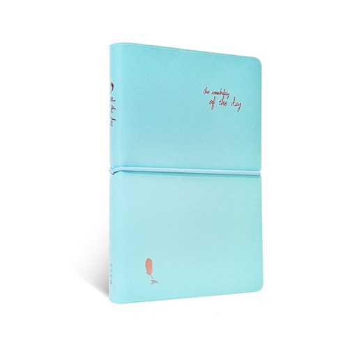 아이씨엘디자인 of the day 다이어리 라지 2022, 민트