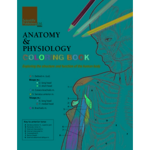 Anatomy & Physiology Coloring Book Paperback, Scientific Publishing, Ltd, English, 9781935612704