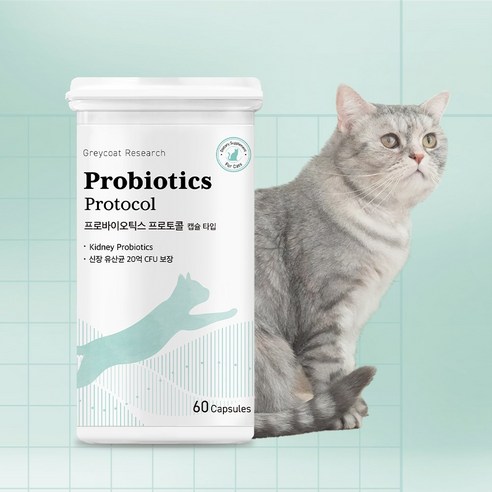 고양이 신장유산균 프로바이오틱스 프로토콜 크집사 캡슐 60개입(2개월분), 1개