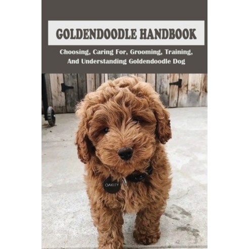 (영문도서) How To Train A Goldendoodle Basic Obedience Training For Goldendoodle Advanced Gun Dog Trai... Paperback, Independently Published, English, 9798450239422