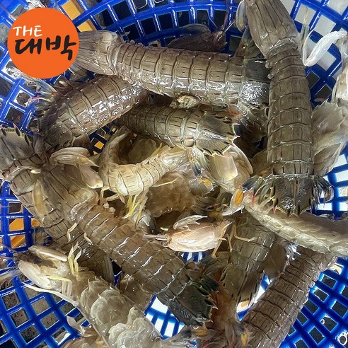신선한 자연산 활 갯가재로 해산물의 진정한 맛을 즐기세요.