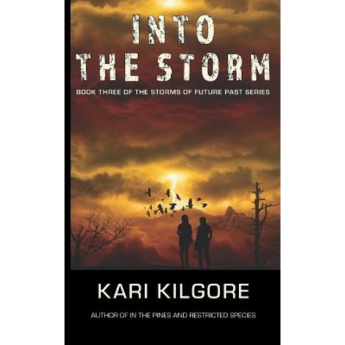 (영문도서) Into the Storm Paperback, Spiral Publishing, Ltd., English, 9781948890090