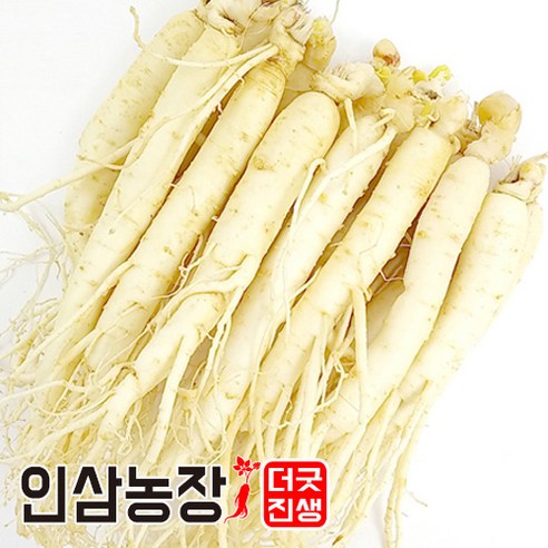 인삼 수삼 금산인삼 세척 원수삼 더굿진생, 1개, 세척인삼450g(9~11뿌리)