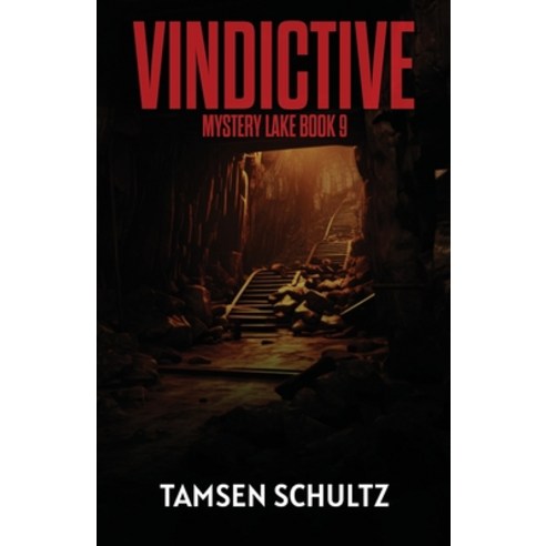 (영문도서) Vindictive Paperback, Devil''s Gate Press, LLC, English, 9781955384360