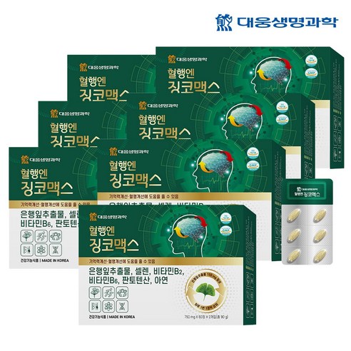 대웅생명과학 혈행엔 징코맥스 은행잎 추출물 혈행 기억력 개선에 도움을 줄수 있음, 120정, 7개