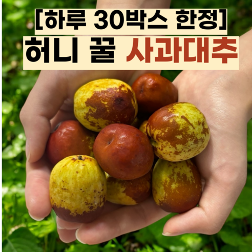 [정성가득] 꿀 사과대추 대추사과 생과, 1개, 2kg