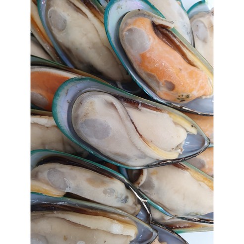 신선하고 맛있으며 영양가 풍부한 다원 뉴질랜드 그린홍합: 수산물 애호가의 꿈
