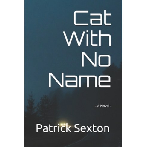 Cat With No Name: - A Novel - Paperback, Independently Published, English, 9798649065542
