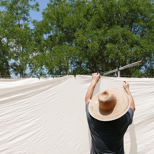 햇살 머금은 감빛, 자연을 담은 염색!