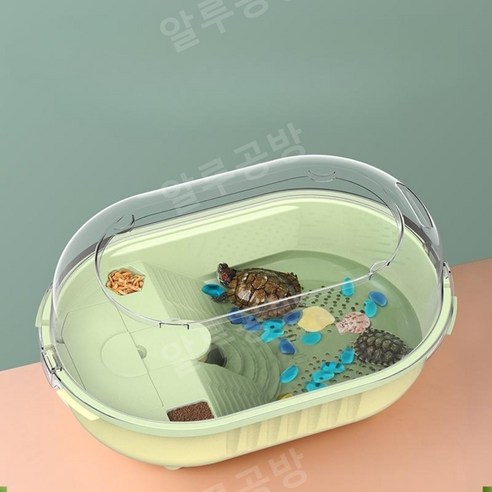 키우기 스마일게 도둑게 집 스마일크랩 거북이, 50cm