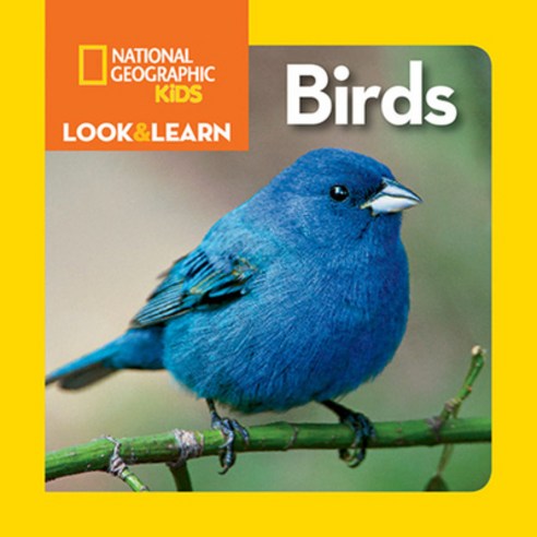 (영문도서) National Geographic Kids Look and Learn: Birds Board Books, English, 9781426328435