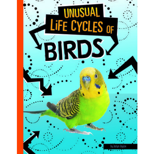 Unusual Life Cycles of Birds Hardcover, Capstone Press, English, 9781496695574