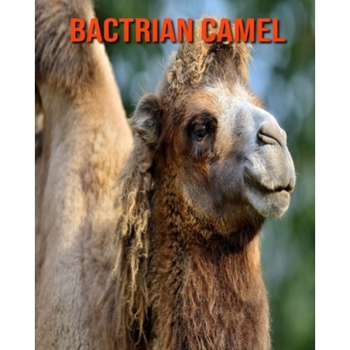 Bactrian Camel: Beautiful Pictures & Interesting Facts Children Book