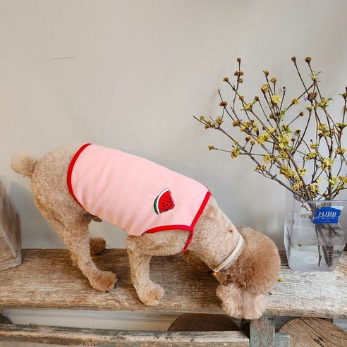 여름에 입기 좋은 개인싸 강아지옷, 과일자수 크롭 나시