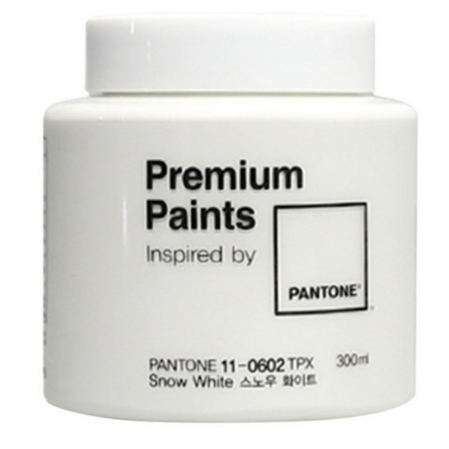 노루페인트 팬톤 프리미엄 페인트, 300ml, 스노우 화이트, 1개 
공구/철물/DIY