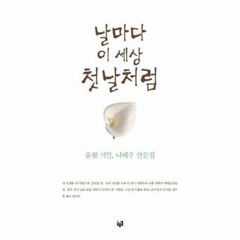 날마다 이 세상 첫날처럼 풀꽃 시인 나태주 산문집, 상품명