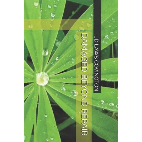(영문도서) Damaged Beyond Repair Paperback, Independently Published, English, 9781078203043