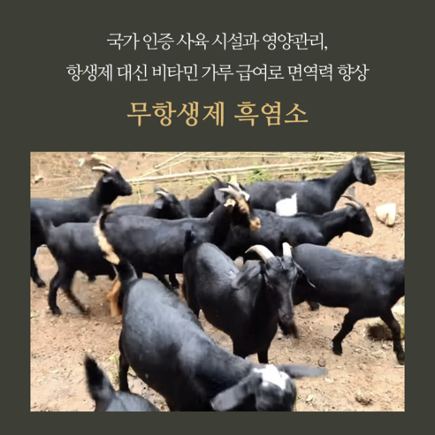 왕실비책 흑염소 진액, 건강과 아름다움을 한 병에!