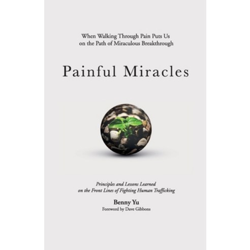 (영문도서) Painful Miracles Paperback, Benjamin Yu, English, 9780578901084