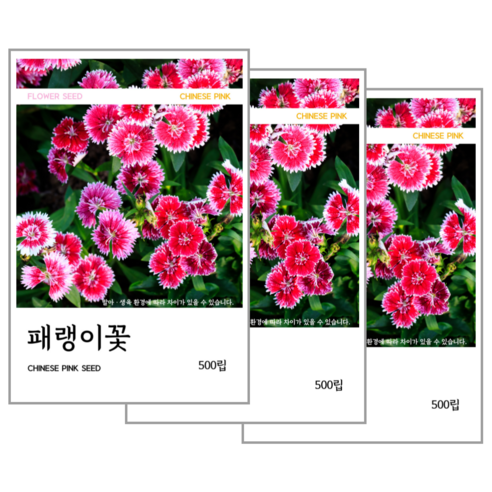 패랭이꽃 씨앗 500립, 3개
