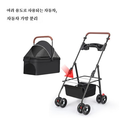 반려견과 함께하는 완벽한 외출을 위한 선택