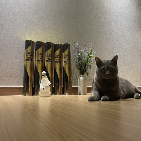 셔틀콕 스트레스 없이, 배드민턴 실력 UP!