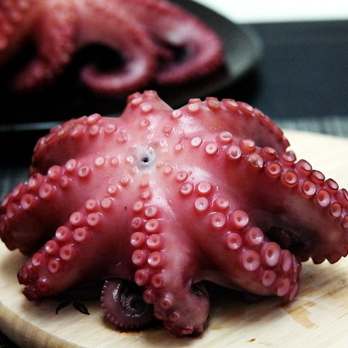 신선한 고흥 돌문어 2kg(2~4미) 직송, 급냉 1마리 생물문어 신선한 고흥 돌문어 2kg(2~4미) 직송, 급냉 1마리 생물문어