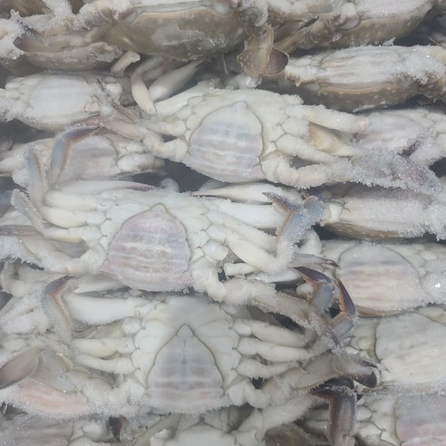 신선한 연평도 꽃게: 집에서 바다의 맛을 즐기세요