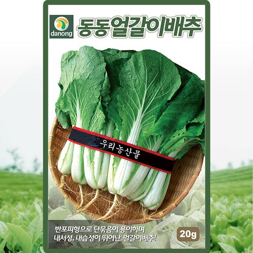 불암플러스 배추씨앗 1000립, 김장배추 종자 1봉지 13 다농 동동얼갈이배추 씨앗 20g 엇갈이배추씨 종자, 단품