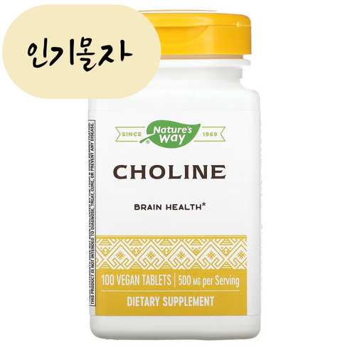 네이처스웨이 Choline Inositol 콜린 이노시톨 500mg 100정 1개[신약사 배송품질보증], 1개