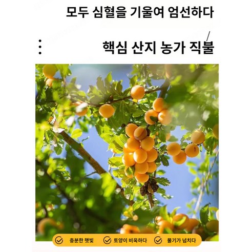 자연의 건강함을 담은 간식