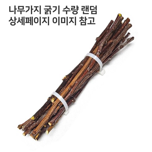 복숭아나무가지, 답답한 일상에 긍정 에너지를 불어넣다.