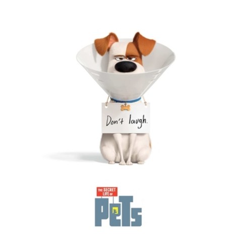 The Secret Life of Pets: The Complete Screenplays Paperback, Independently Published