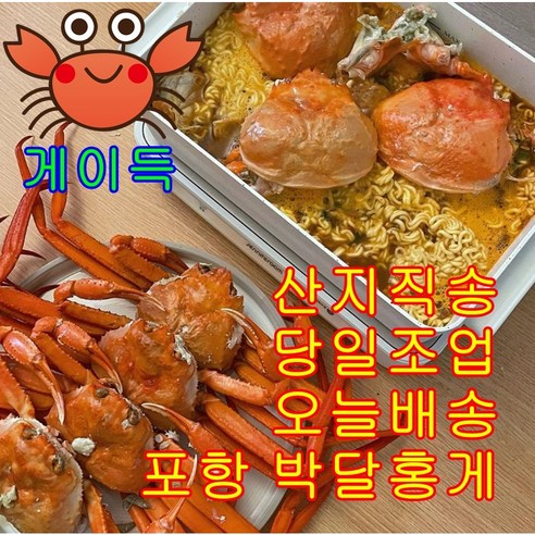 신선하고 맛있는 국내산 포항 게이득 박달홍게