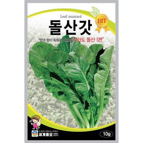 돌산갓 씨앗 10g 맛과 향이 좋은 재래종 채소 세계종묘