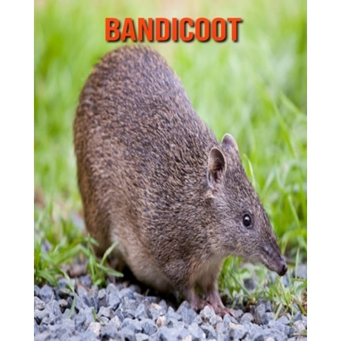 Bandicoot: Amazing Photos & Fun Facts Book About Bandicoot For Kids Paperback, Independently Published, English, 9798729604791