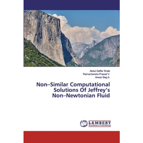 Non-Similar Computational Solutions Of Jeffrey''s Non-Newtonian Fluid Paperback, LAP Lambert Academic Publishing