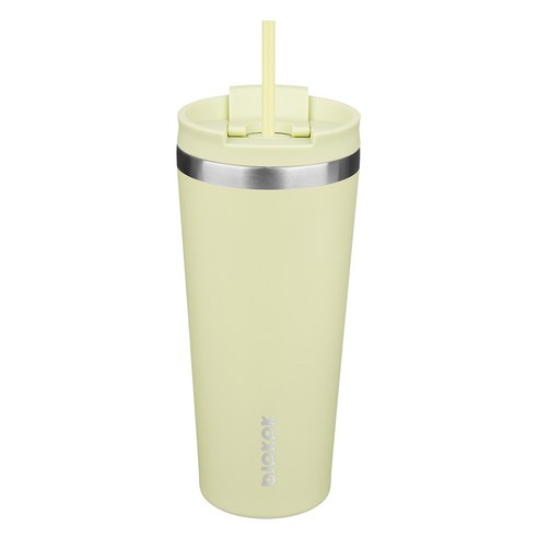 BJPKPK 누수 방지 스테인리스 스틸 보온병 빨대 포함, 1개, 마카롱 그린, 650ml