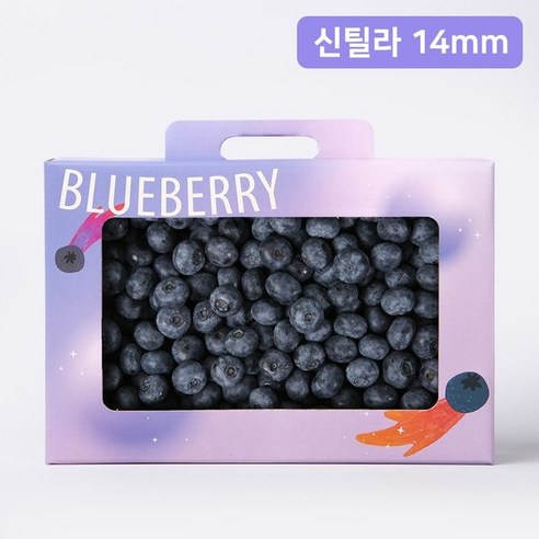 백화점 블루베리 400g 선물패키지 124589, 1개