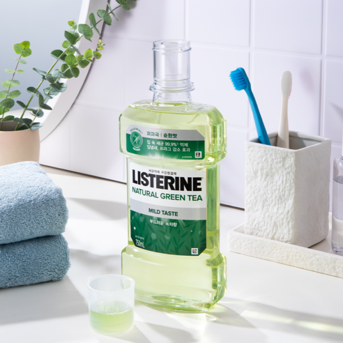 구강 건강을 위한 완벽한 동반자