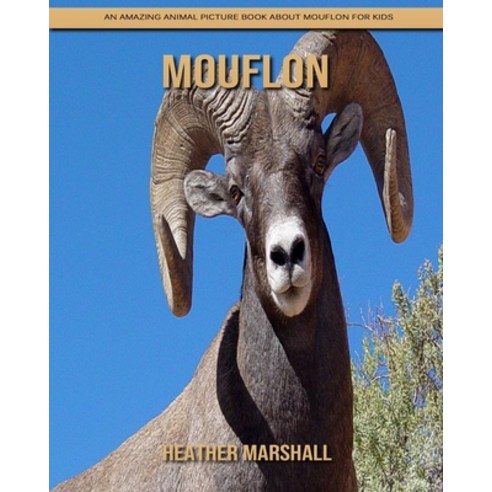 Mouflon: An Amazing Animal Picture Book about Mouflon for Kids Paperback, Independently Published, English, 9798738411311