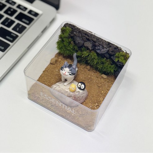 고양이의 대모험 이끼 테라리움 DIY 키트 – 1개 이끼키우기