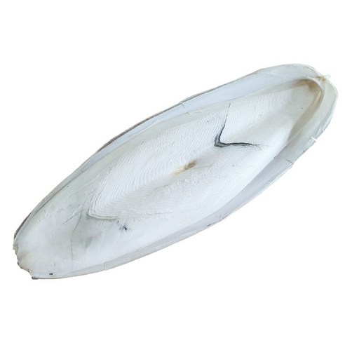 벅스앤미 갑오징어뼈 국내산 (달팽이 칼슘 보충) 30g, 1개 가축용품