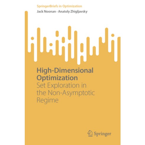 (영문도서) High-Dimensional Optimization: Set Exploration in the Non-Asymptotic Regime Paperback, Springer, English, 9783031589089